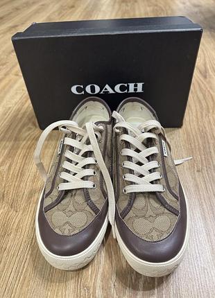 Кеди жіночі coach коричневі