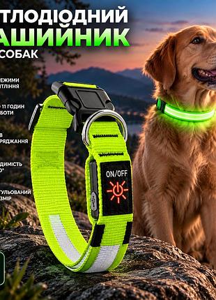 Світлодіодний нашийник для собак yfbrite m, usb, 3 режими, до 11 год, 360°, регульований, зелений