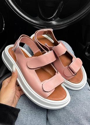 No brand