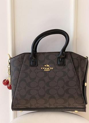 Coach andrea carryall bag mini шоколадний