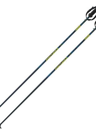 Гірськолижні палиці fischer rc4 noize розмір 110