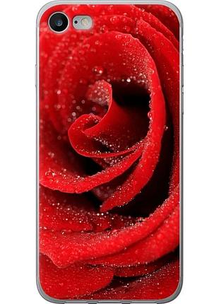 Чехол 2d пластиковый на телефон iphone se 2020 красная роза "529t-2013-58250"