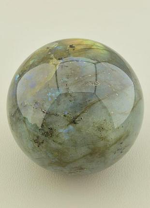 132005 шар лабрадор 63x63 396,53 г.