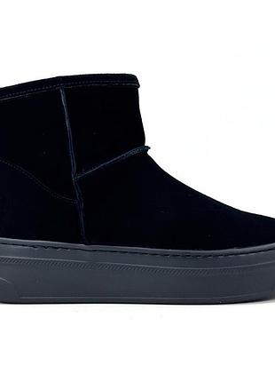 Жіночі черевики vilansi v8867 black velour 39 розмір