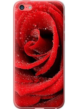 Чохол 2d пластиковий на телефон iphone 5c червона троянда "529t-23-58250"