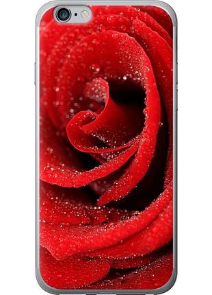 Чохол 2d пластиковий на телефон iphone 6s plus червона троянда "529t-91-58250"