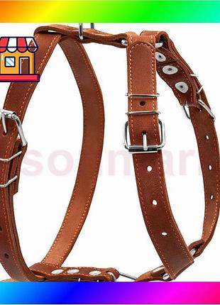 Bs шлея "collar" одинарная best mix (ширина 25мм, а:49-68см, в:68-80см) коричневый bas77/n