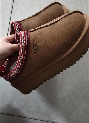 Уггі жіночі ugg tazz коричневі 7