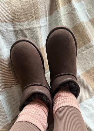 Уггі ugg classic ultra mini chocolate 4