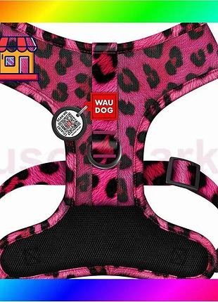Bs шлей для собак best mix дихаюча waudog mesh з qr адресником, малюнок «леопард рожевий», м, a 35 см, bas77/n