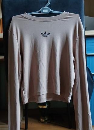 Футболка жіноча adidas базова бежева