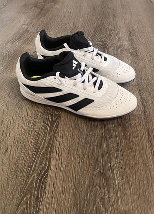Кросівки adidas predator indoor sala білі
