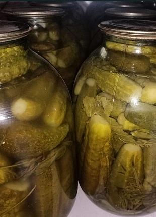 Огурцы маринованные