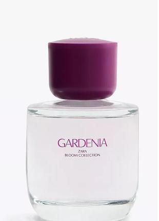 Парфуми gardenia zara 90 ml
