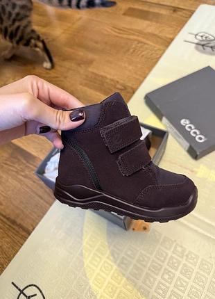 Зимові чоботи ecco urban mini 24р.