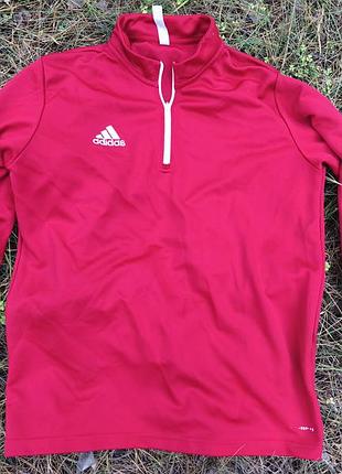 Спортивна кофта adidas