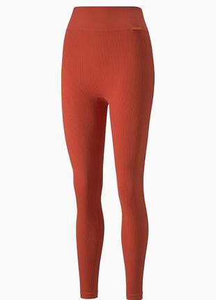 Легінси infuse evoknit women's leggings