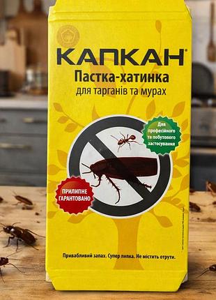 Капкан - клеевая ловушка-домик от тараканов и муравьев