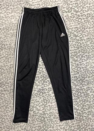 Фірмові спортивні штани / завужені треніки adidas