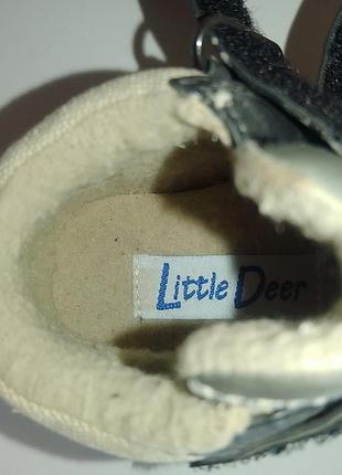 Черевики для хлопчика little deer р.21 4