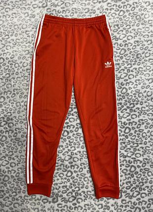 Фірмові спортивні штани / джогери adidas originals (primeblue)