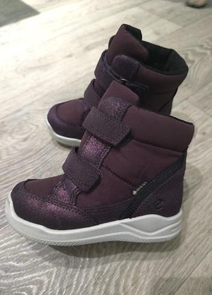 Продам зимние ессо р.25 стелька 16см -16,5см.