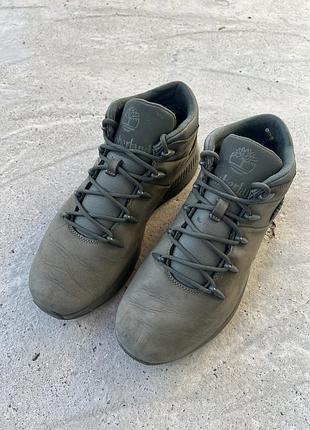 Шкіряні кросівки timberland 2