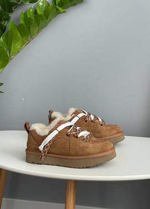 Уггі ugg lo lowmel sneaker chestnut / smb+ 🔗
