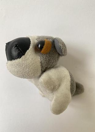 Фирменная мягкая игрушка-глазастик хаски «buff» от бренда ty beanie boos