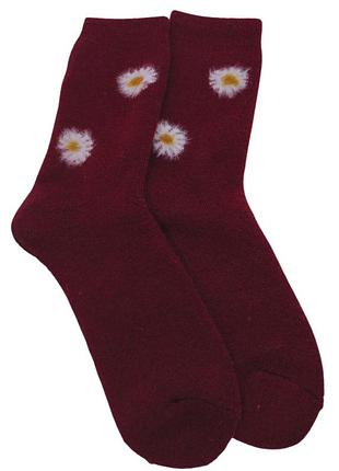Шкарпетки теплі жіночі з вовни сhamomile no brand 926-01 червоний 36-41 1 шт