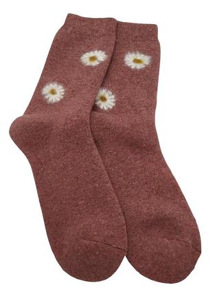 Носки теплые женские из шерсти сhamomile no brand 927-01 пудровый 36-41 1 шт