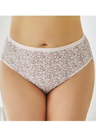 Жіночі бавовняні трусики сліпи батальні your own comfort (1842-60-05) пудровий 3xl