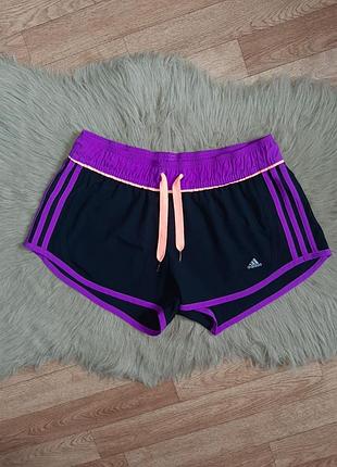 Жіночі спортивні шорти adidas чорні з фіолетовими смужками, розмір uk 14