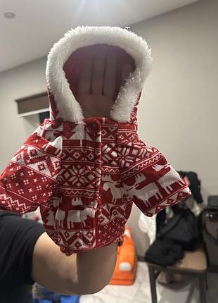 Одяг для домашніх тварин: тепла велюрова кофтинка для собаки