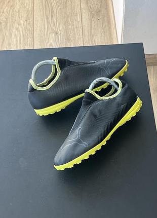 Сороконіжки puma 5
