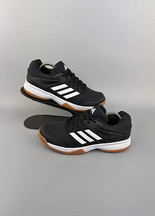 Кросівки для залу adidas speedcourt оригінал