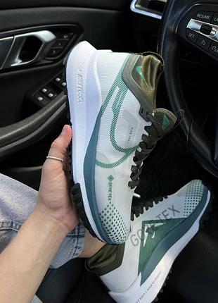 Nike pegasus 4 gore-tex premium 5
