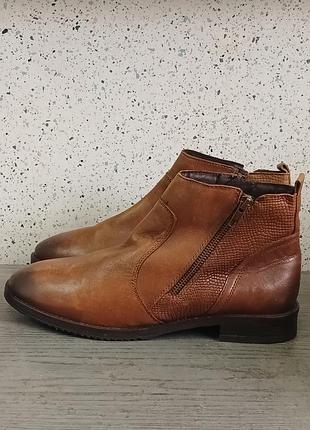 Женские кожаные ботинки cafe moda 4