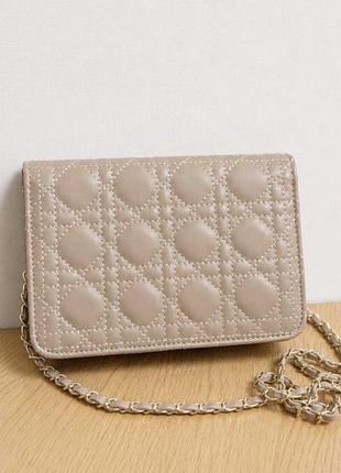 Жіночий клатч dior 2