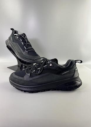 Кросівки ecco