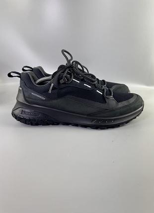 Кросівки ecco 6