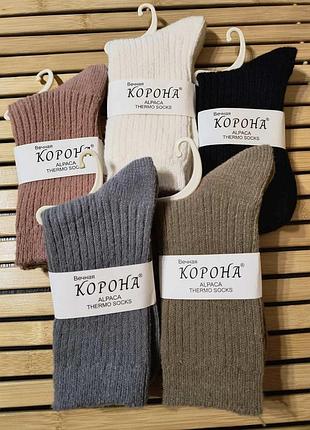 Жіночі термошкарпетки з вовною альпаки корона (5 шт.). розмір 36-41