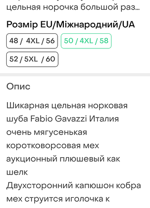 Fabio gavazzi італія 7