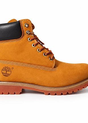 Timberland 6-inch premium boot waterproof 3