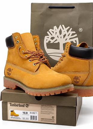 Timberland 6-inch premium boot waterproof