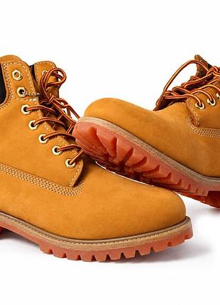 Timberland 6-inch premium boot waterproof 2