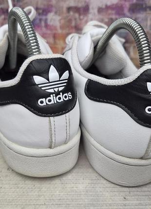 Кеды adidas superstar 6