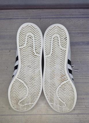 Кеды adidas superstar 5
