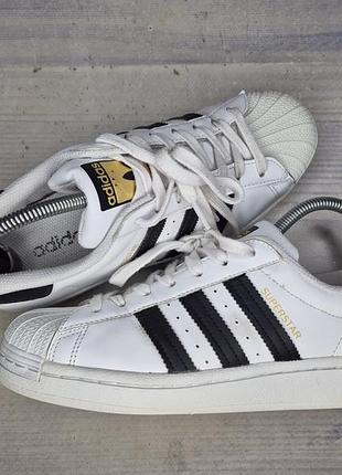 Кеды adidas superstar