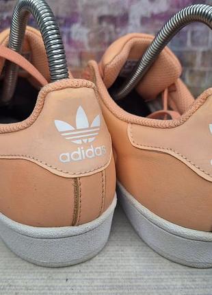 Кеды adidas superstar 6